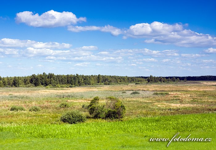 Fotka Krajina u obce Kopytkowo, Biebrzanski národní park, Polsko