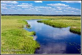 Řeka Biebrza u obce Jaglowo, Biebrzanski národní park, Biebrzanski Park Narodowy, Polsko