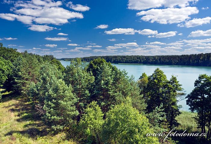 Fotka Zatoka Wigierki, jezero Wigry, Wigierski Park Narodowy, Polsko