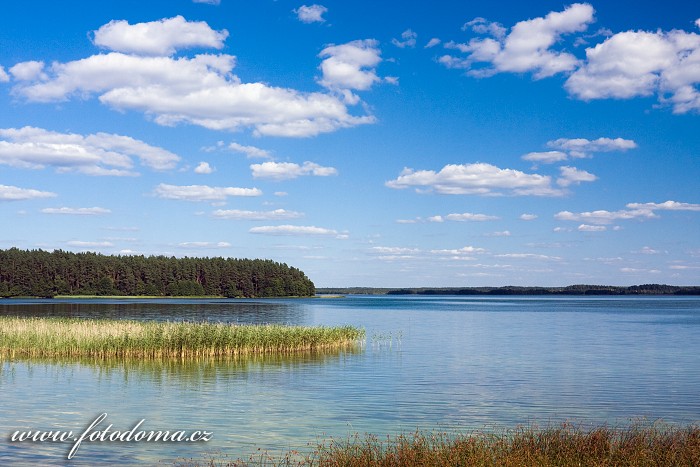 Fotka Zatoka Slupianska, jezero Wigry, Wigierski Park Narodowy, Polsko