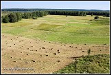 Zemědělská krajina u jezera Wigry, Bryzgiel, Wigierski Park Narodowy, Wigierski národní park, Polsko