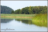 Jezero Wigry, Piasky, Wigierski Park Narodowy, Wigierski národní park, Polsko