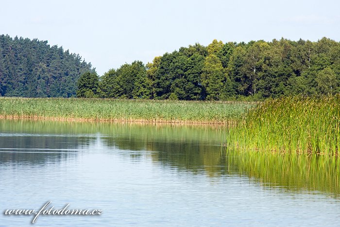 Fotka Jezero Wigry, Piasky, Wigierski Park Narodowy, Polsko