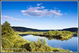 Soutok řek Merkys a Nemunas, Dzūkijos National Park, Litva