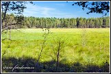 Národní přírodní rezervace Čepkeliai, Litva