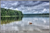 Jezero Baluošas, Aukštaitijos národní park, Litva