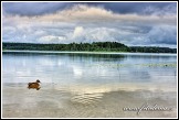 Jezero Baluošas, Aukštaitijos národní park, Litva