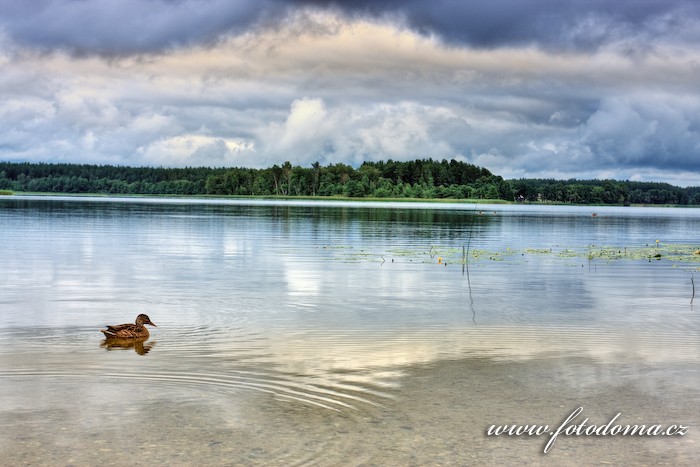 Fotka Jezero Baluošas, Aukštaitijos národní park, Litva