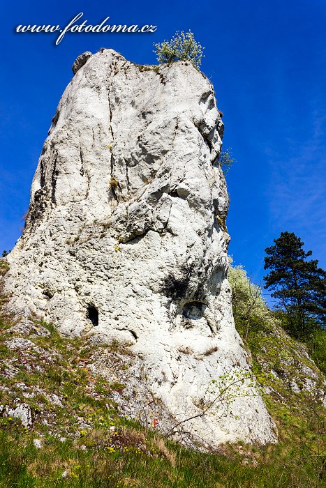 Klentnická skála, Národní přírodní rezervace Tabulová, Růžový vrch a Kočičí kámen, Klentnice, CHKO Pálava, okres Břeclav, Jihomoravský kraj, Česká republika