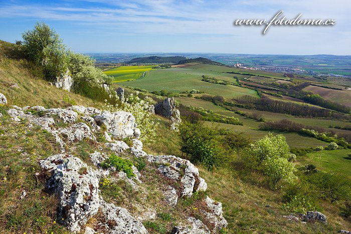 Pohled ze Stolové hory k jihu, CHKO Pálava, okres Břeclav, Jihomoravský kraj, Česká republika