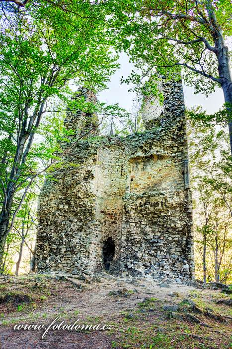 Zřícenina hradu Kaltenštejn na vrchu Hradisko, Černá Voda, okres Jeseník, Olomoucký kraj, Česká republika