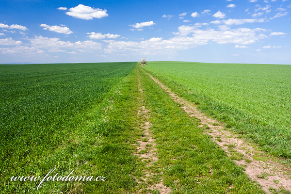 Galerie fotografií cest a cestiček