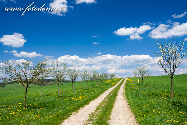 Galerie fotografií cest a cestiček