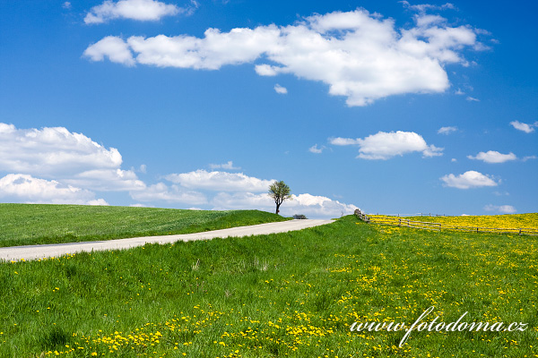 Galerie fotografií cest a cestiček