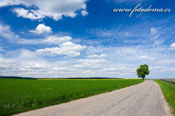 Galerie fotografií cest a cestiček