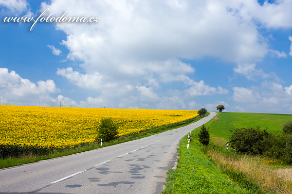 Galerie fotografií cest a cestiček