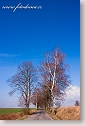 Early spring landscape