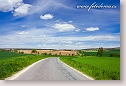 Spring landscape with road