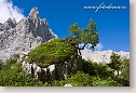 Dolomites, Italy