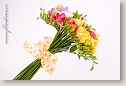 Bouquet of freesia