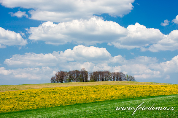 Galerie fotografií krajiny