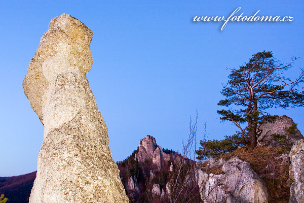 Fotografie NPR Sovsk skaly, CHKO Strovsk vrchy, Slovensko