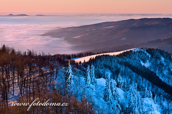 Fotografie Rev z Kaku, Mal Fatra, chrnn krajinn oblast, Slovensko