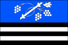Vlajka obce Dolní Bojanovice