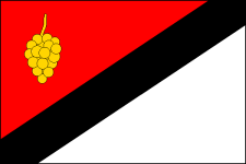 Vlajka obce Radějov