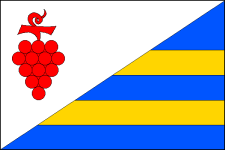 Vlajka obce Těmice
