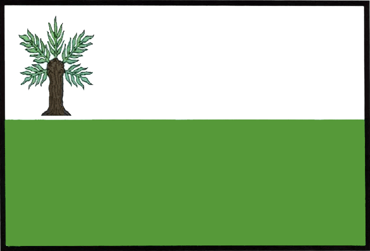 Vlajka Vidnava