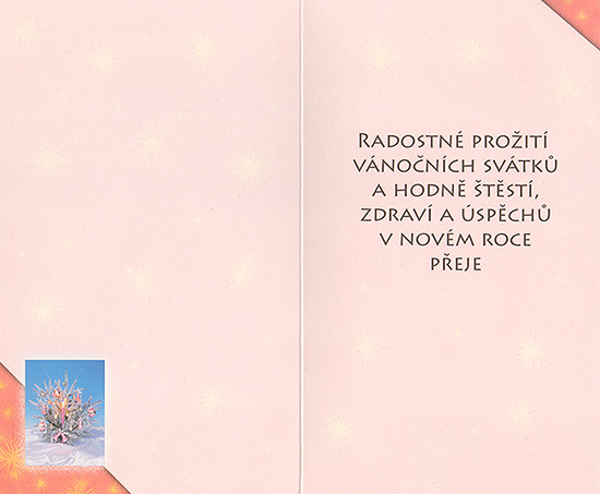 Novoročenka
