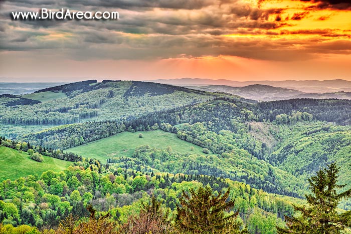 Holý vrch (Bare Hill), view from Chmelova Hill, Protected Landscape Area Biele Karpaty