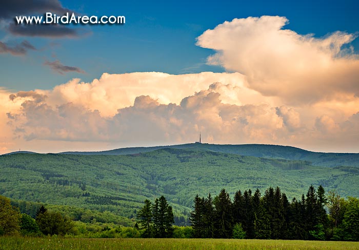 Velká Javořina, pohled z vrchu Lesná