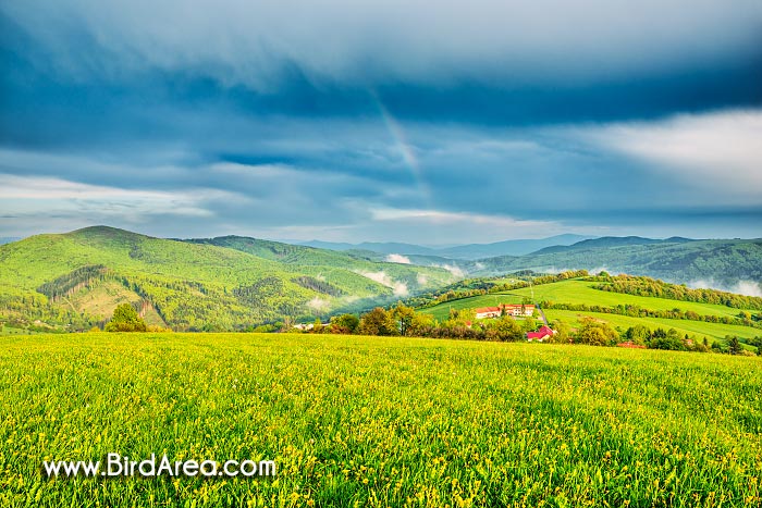 Landscape in Zitkova, Protected Landscape Area Bile Karpaty, White Carpathian Mountains, Czech Republic, Slovakia, Europe