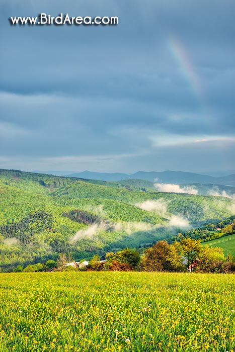 Landscape in Zitkova, Protected Landscape Area Bile Karpaty, White Carpathian Mountains, Czech Republic, Slovakia, Europe