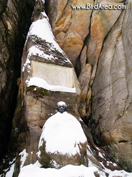 Statue of J. W. Goethe, covered in snow, Adršpašské skály, Adršpach rocks