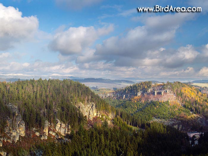 Lysý vrch, Bald Hill