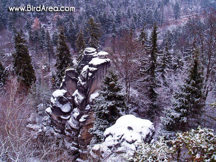 Skály, Teplice nad Metují