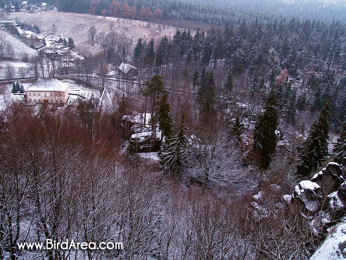 Skály, Teplice nad Metují