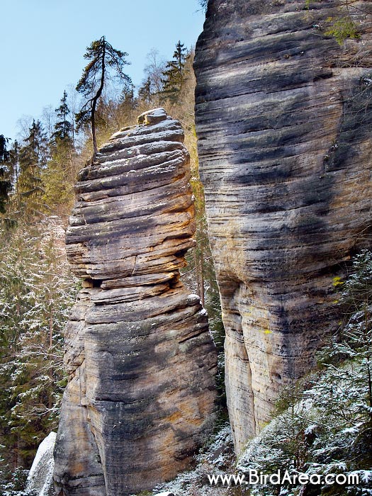 Teplické skály, Teplice rocks