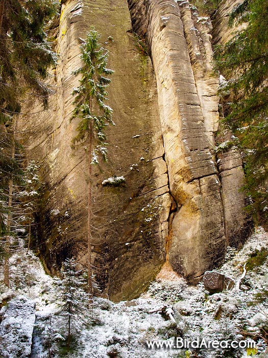 Teplické skály, Teplice rocks