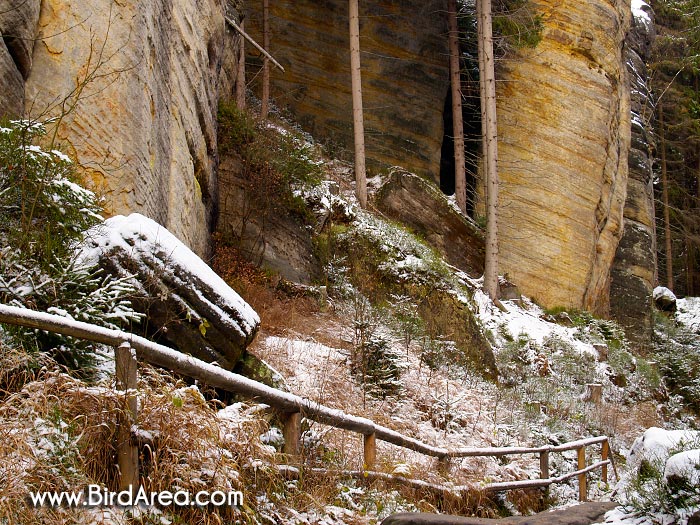 Teplické skály, Teplice rocks