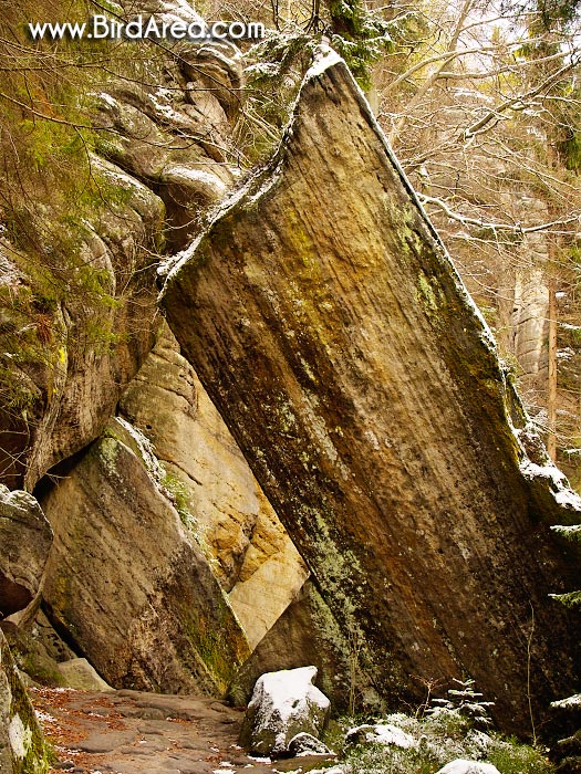 Teplické skály, Teplice rocks