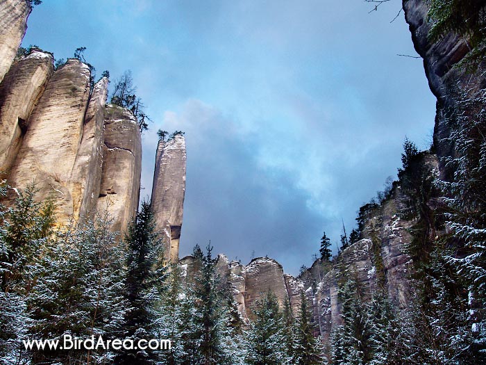 Teplické skály, Teplice rocks