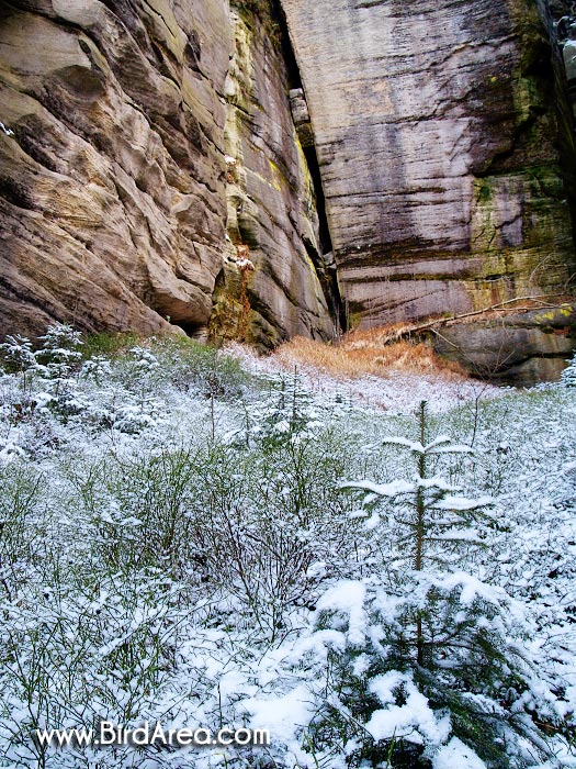 Teplické skály, Teplice rocks