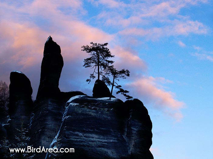 Teplické skály, Teplice rocks