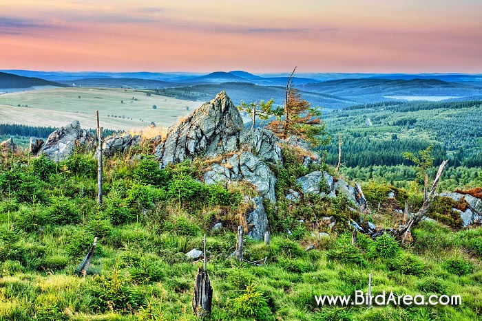 Meluzína rocks in Krusne Mountains (Krušné hory, Erzgebirge)