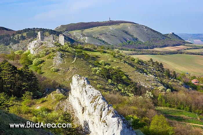 Klentnická skála, Klentnice rock and Koruna