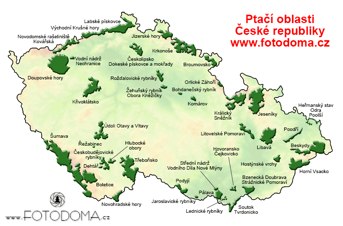 Ptačí oblasti České republiky